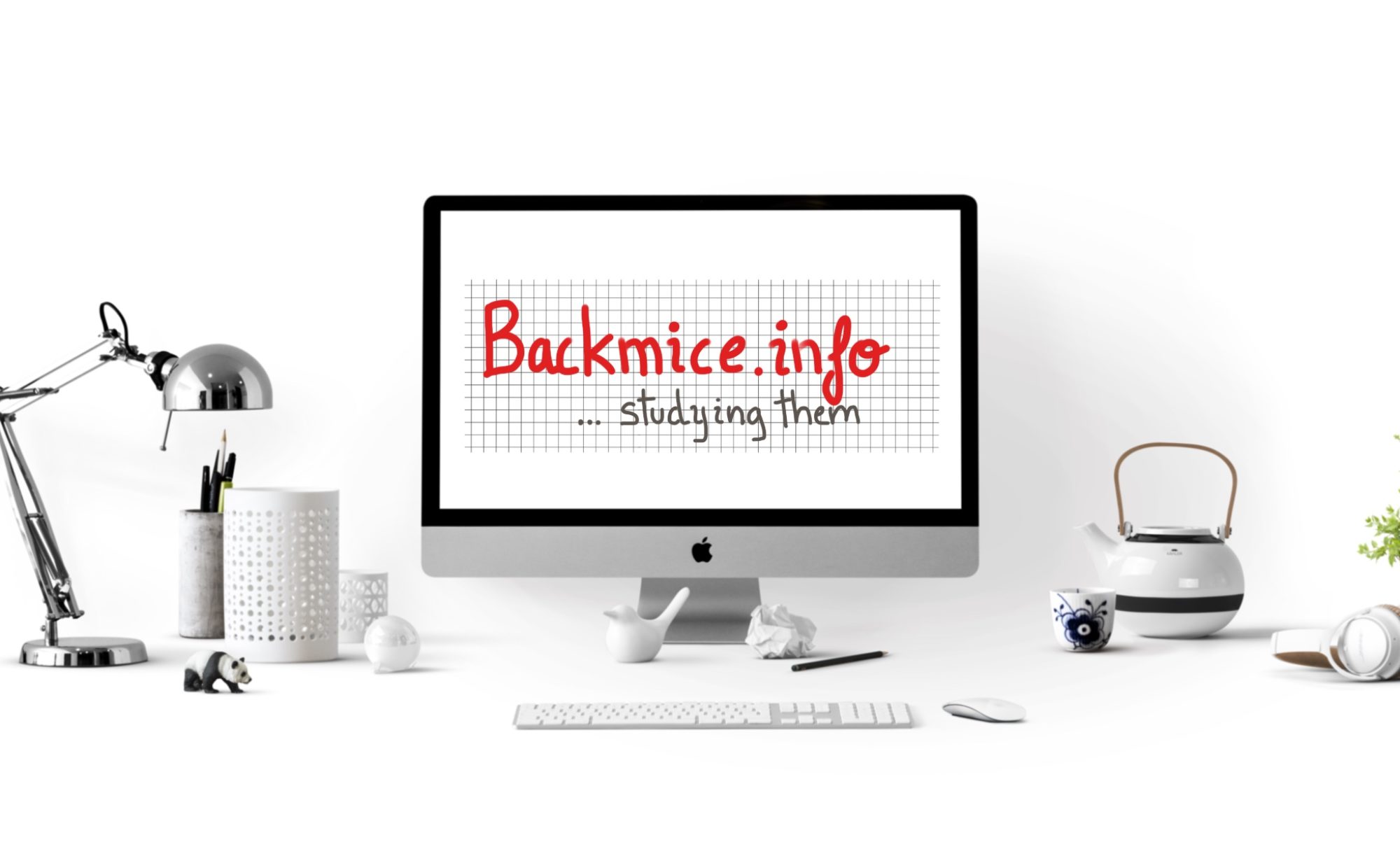 backmice.info