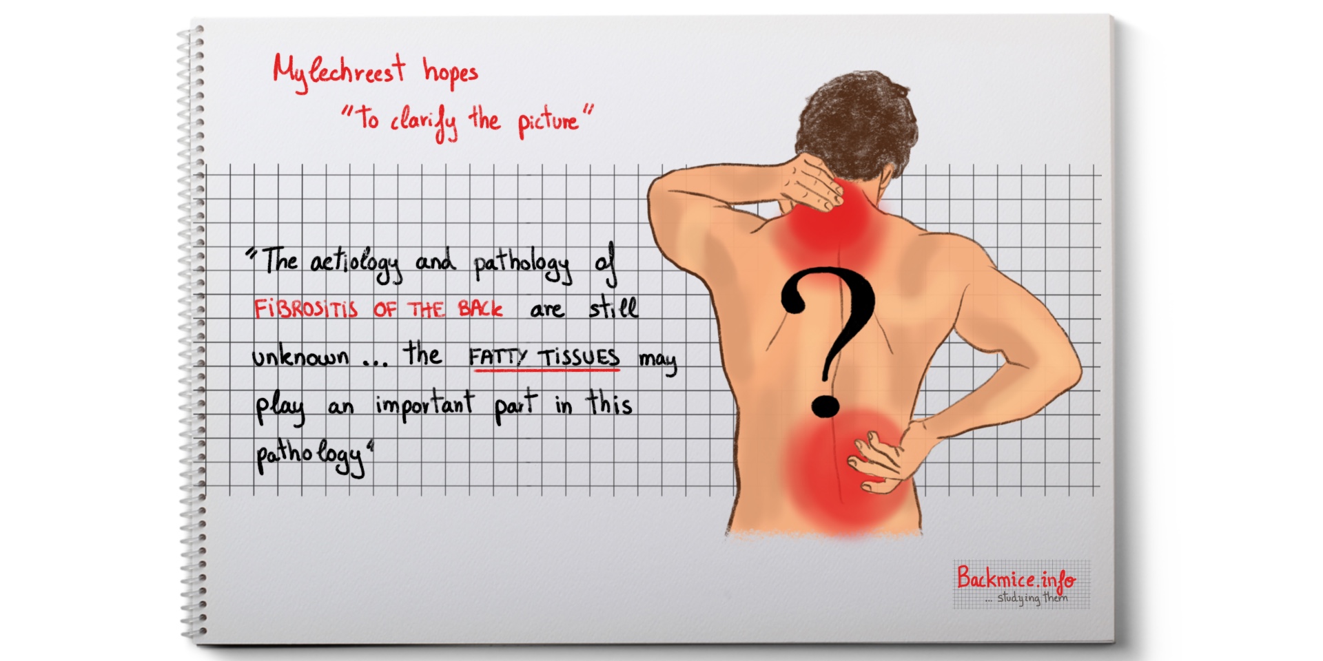 fibrositis of the back