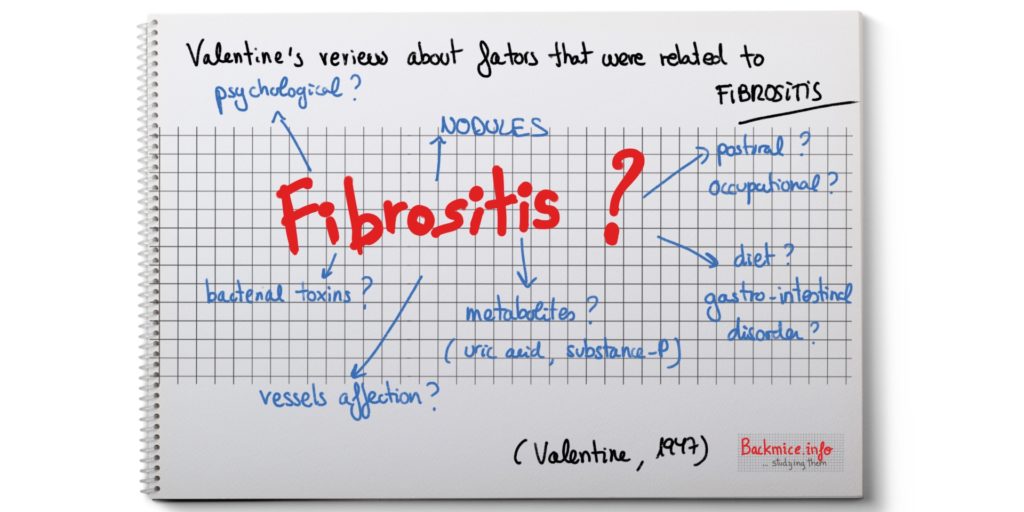 etiology of fibrositis
