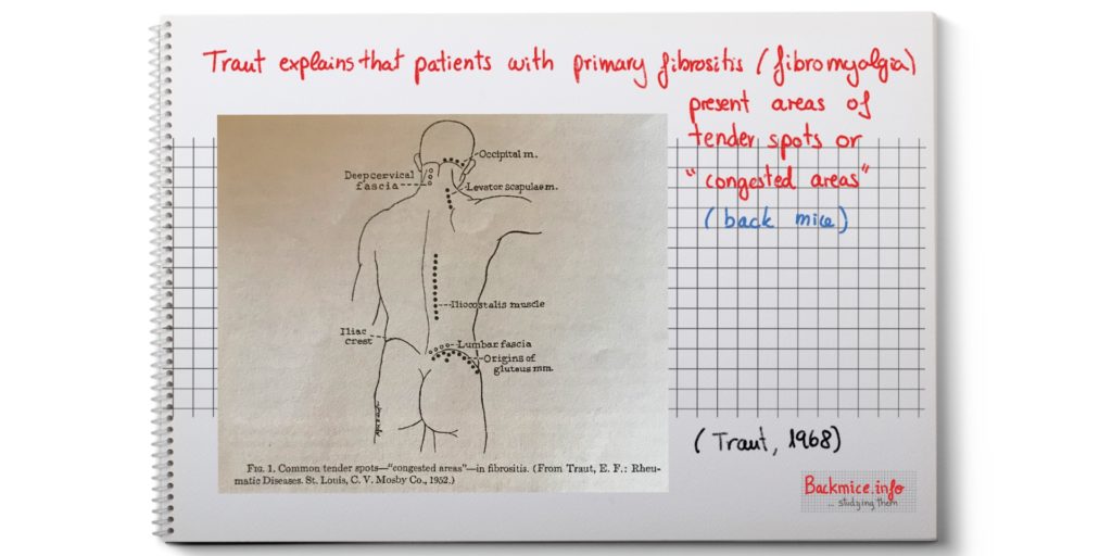 primary fibrositis