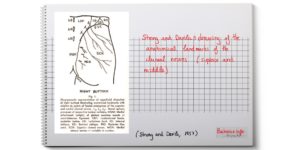 cluneal syndrome